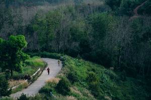 BIB: 
                            <button type="button" onclick="openModal(21900265)" class="btn btn-primary btn-sm float-right btn-popup" data-toggle="modal" data-target=".modal-high-quality">
                        <i class="fas fa-shopping-cart"></i> Add to Cart
                    </button>
                                            <button type="button" onclick="isThisMe(21900265, true)" class="btn btn-success btn-sm float-right btn-popup btn-isme hidden" data-toggle="tooltip" data-placement="bottom" title="นี่คือรูปของคุณใช่ไหม คลิกที่นี่เพื่อเอาเข้าอัลบั้ม">
                        <i class="fas fa-plus"></i> Add to album
                    </button>
                    <button type="button" onclick="isThisMe(21900265, false)" class="btn btn-warning btn-sm float-right btn-popup btn-isnotme hidden">
                        <i class="fas fa-ban"></i> Remove from album
                    </button>